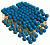 DMS® (Derma Membrane Structure)